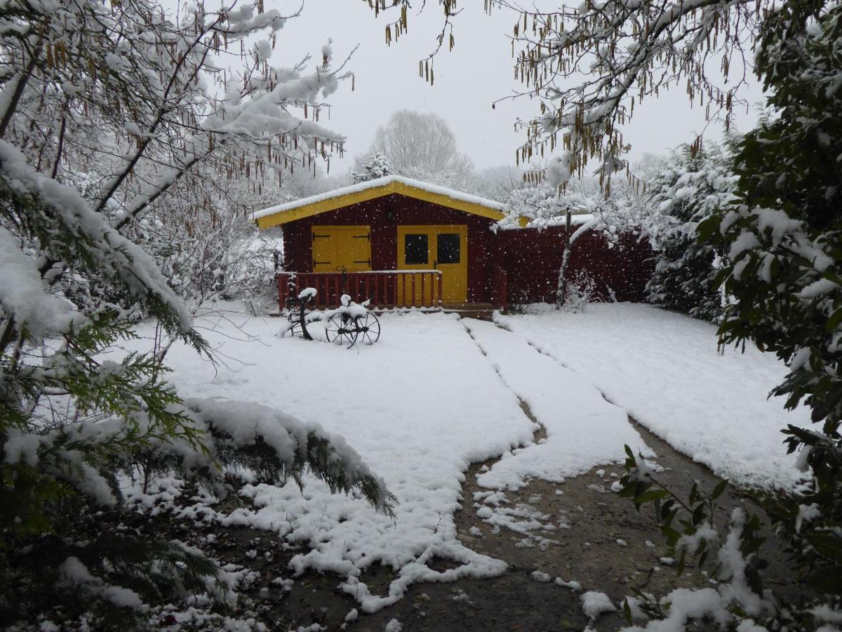 Montigny  Chalet Aux Pied Des Vignes المظهر الخارجي الصورة